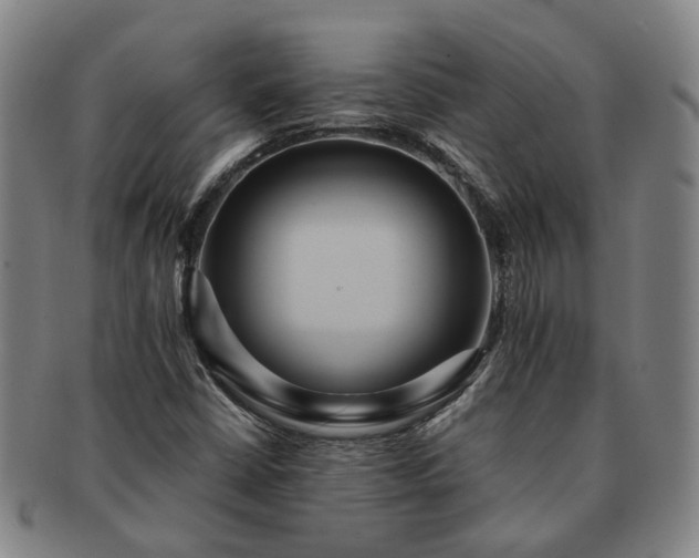 X0000091581402200708271210