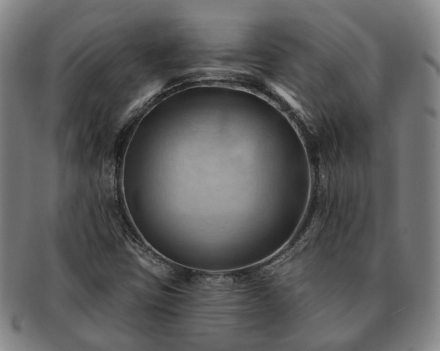 X0000091581403200708271210