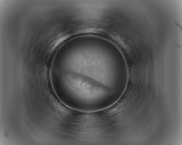 X0000091581404200708271210