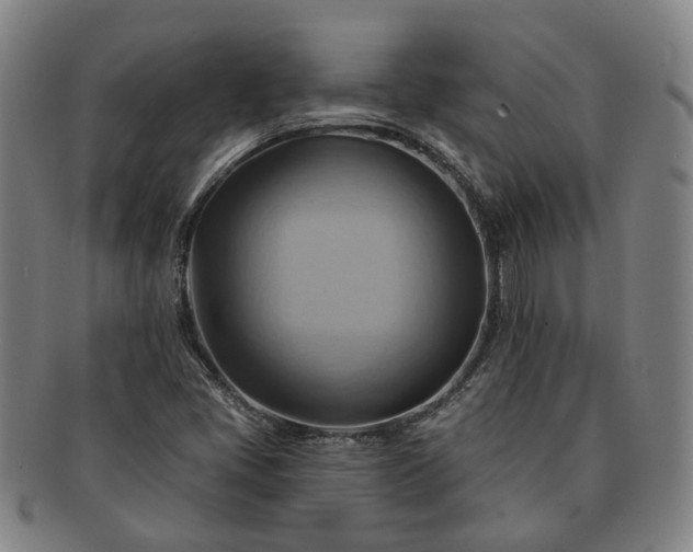 X0000091581405200708271210