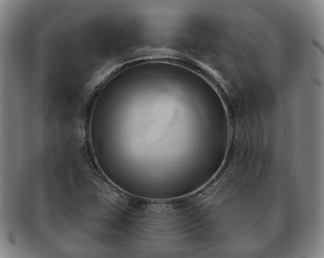 X0000091581407200708271210