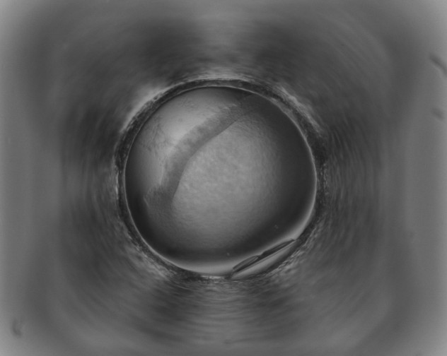 X0000091581408200708271210