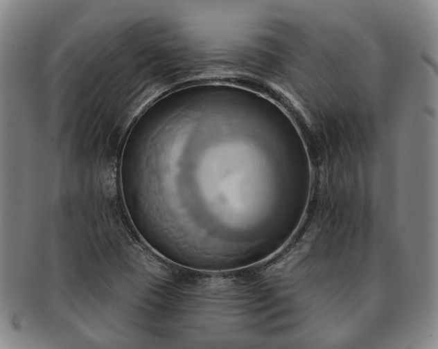X0000091581409200708271210