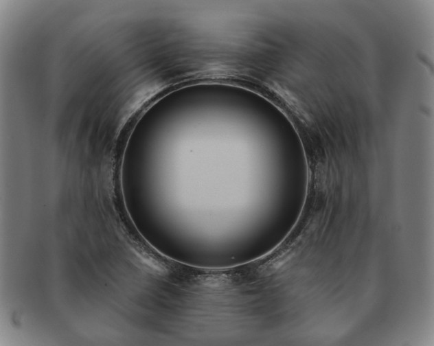 X0000091581410200708271210