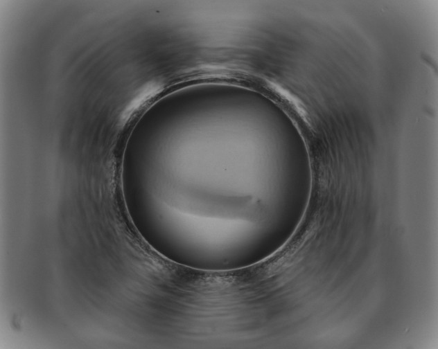X0000091581411200708271210