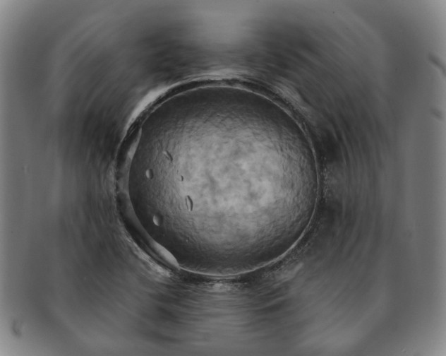 X0000091581412200708271210