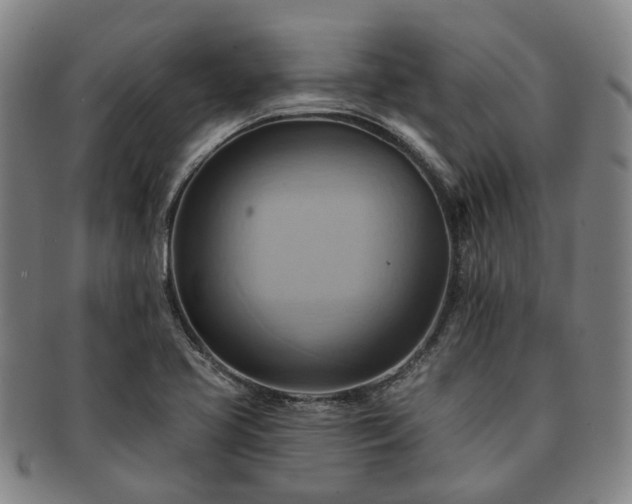 X0000091581413200708271210