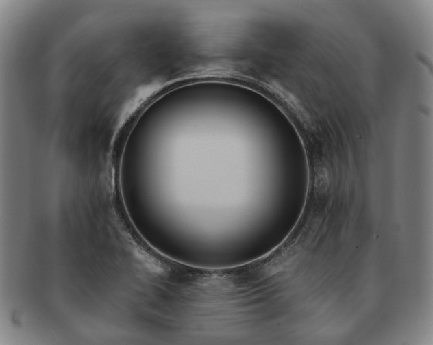 X0000091581414200708271210