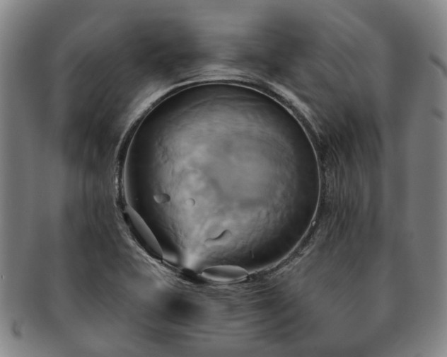 X0000091581415200708271210