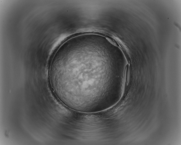X0000091581416200708271210