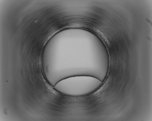 X0000091581417200708271210