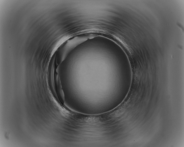 X0000091581418200708271210