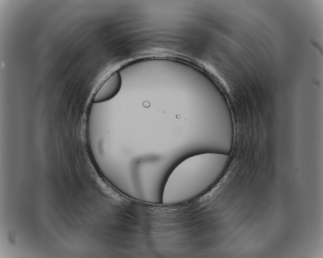 X0000091581421200708271210