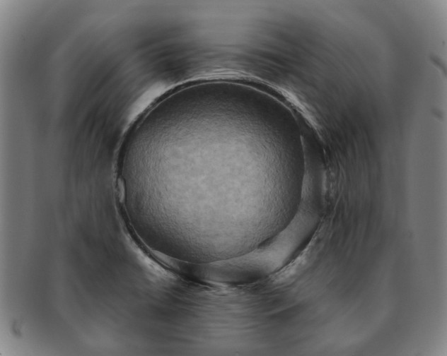 X0000091581422200708271210