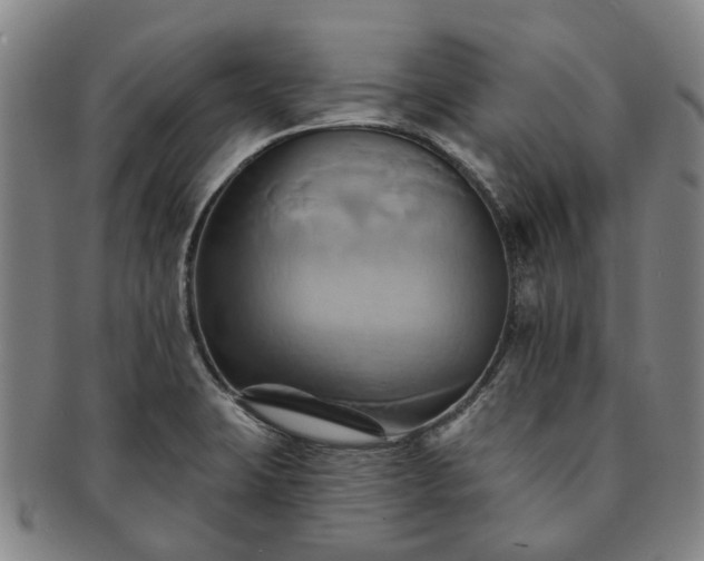 X0000091581423200708271210