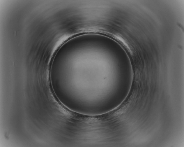 X0000091581424200708271210