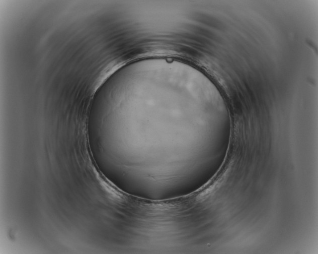 X0000091581425200708271210