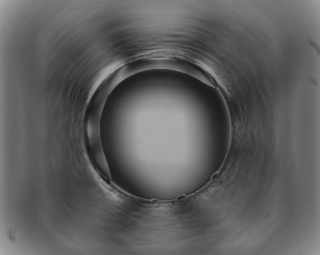 X0000091581426200708271210