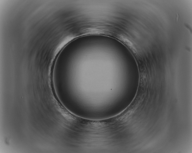 X0000091581427200708271210