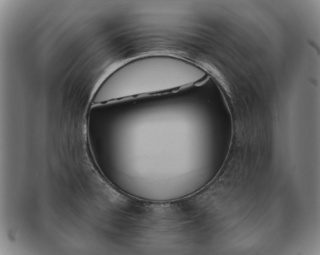 X0000091581428200708271211