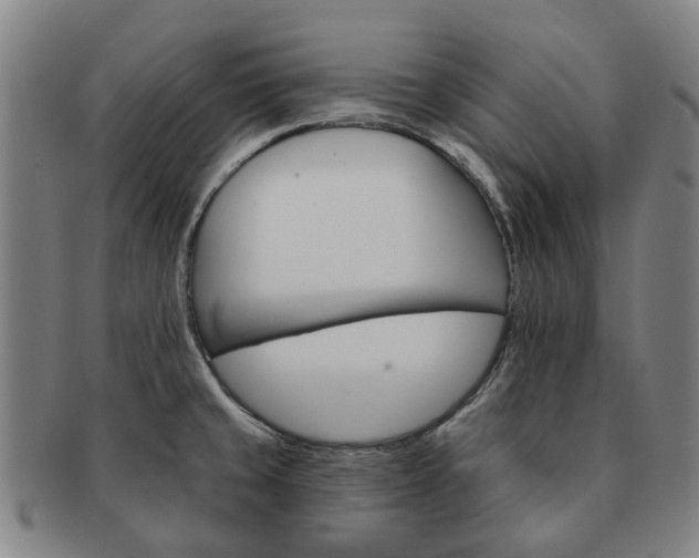 X0000091581429200708271211