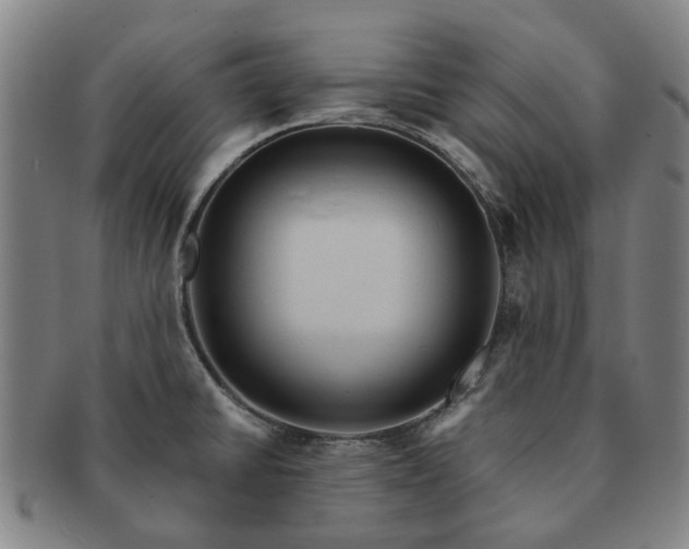 X0000091581430200708271211
