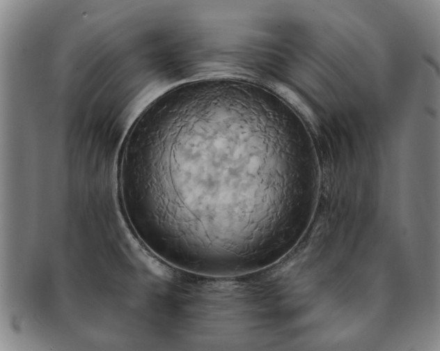 X0000091581431200708271211