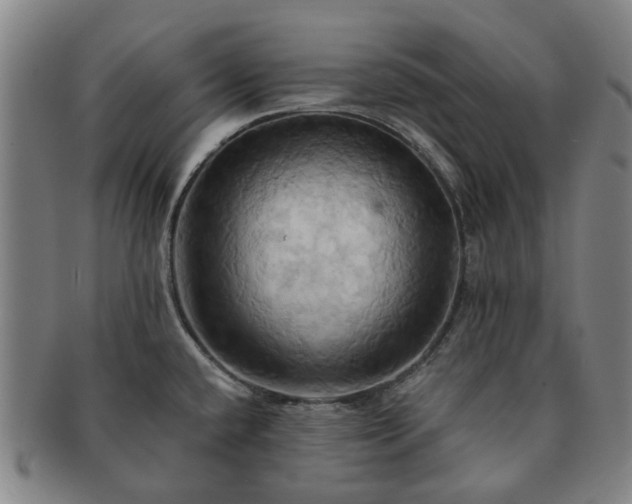 X0000091581432200708271211