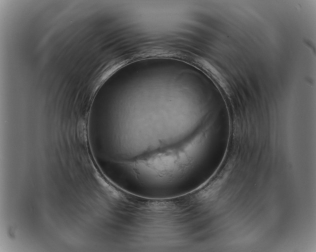 X0000091581433200708271211