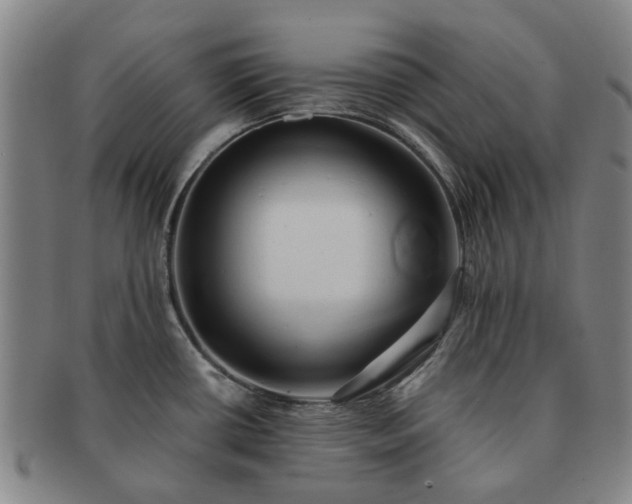 X0000091581434200708271211