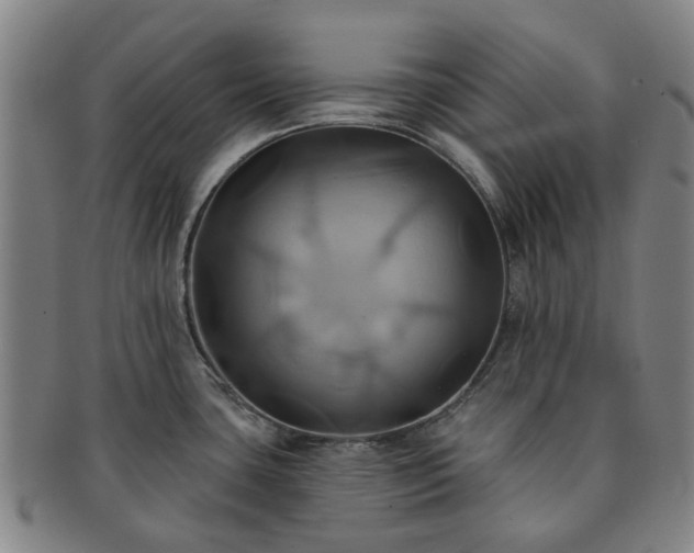 X0000091581435200708271211