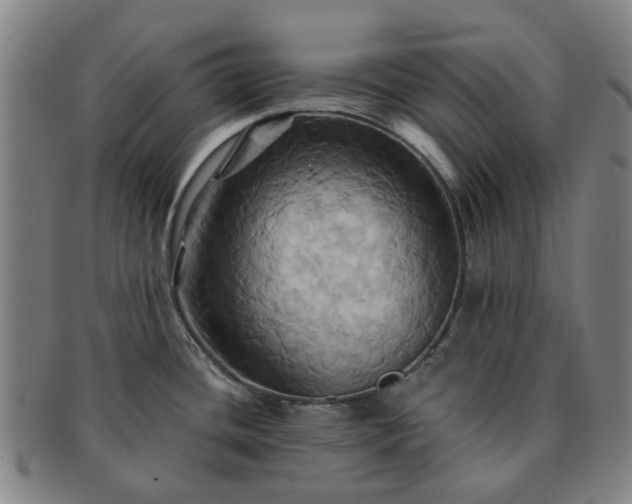 X0000091581436200708271211