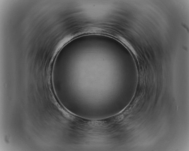 X0000091581437200708271211