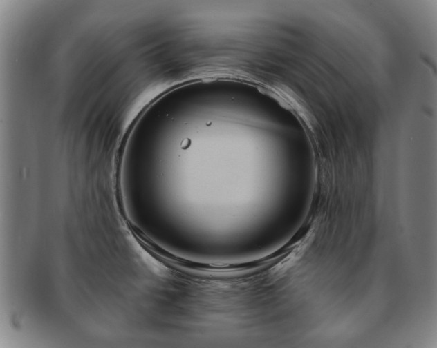 X0000091581438200708271211