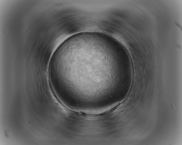 X0000091581440200708271211