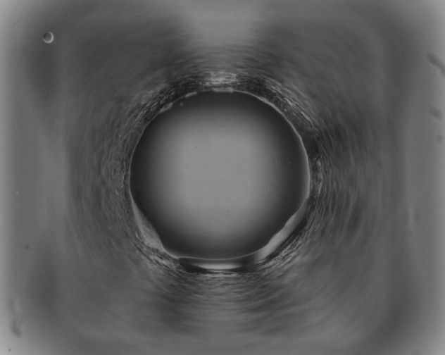 X0000091581441200708271210