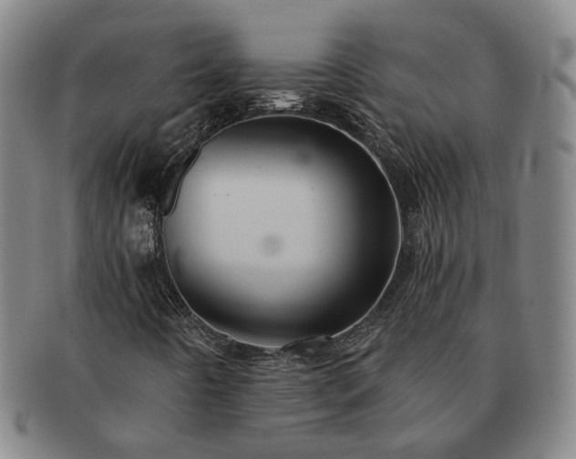 X0000091581442200708271210