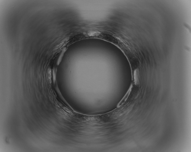 X0000091581443200708271210