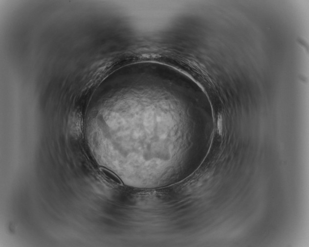 X0000091581444200708271210