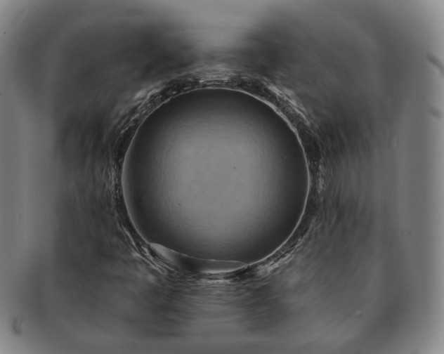 X0000091581445200708271210