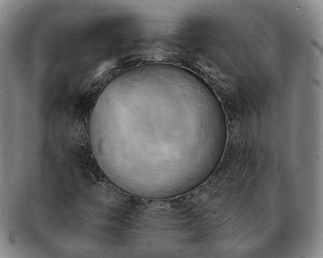 X0000091581446200708271210