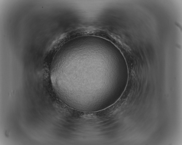 X0000091581447200708271210