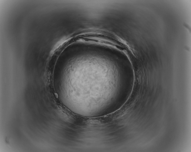 X0000091581448200708271210