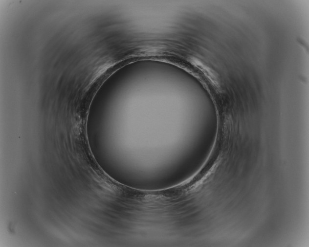 X0000091581449200708271210