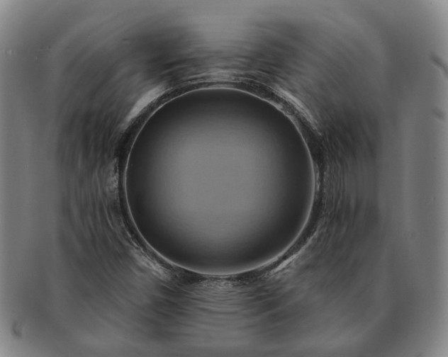 X0000091581450200708271210