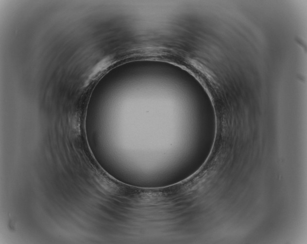 X0000091581451200708271210