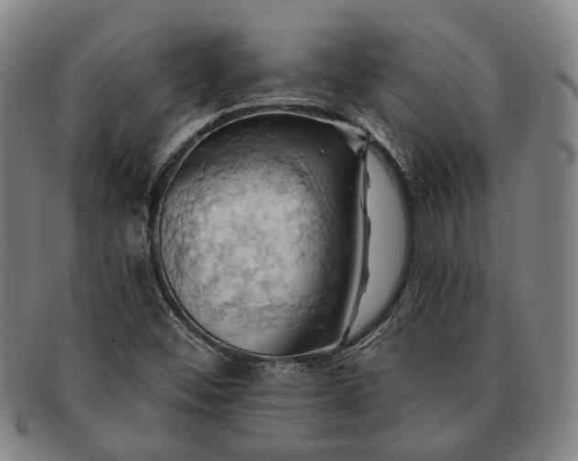 X0000091581452200708271210