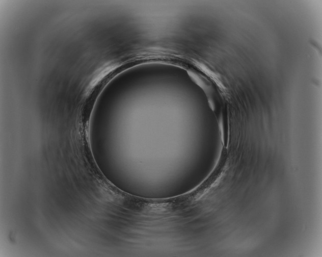 X0000091581453200708271210