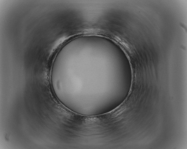 X0000091581454200708271210