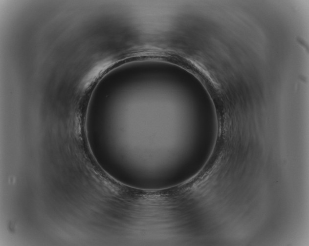 X0000091581455200708271210